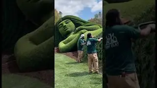Moana island Masterpiece 🤯🤯 #disney #moana  #shorts  #tefiti #maui #wow #kids #movie #magic #green