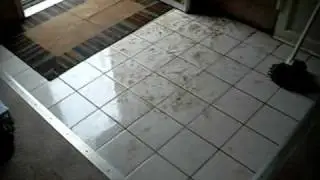 GEORGIA FLOOD!! OH NOOOOO!!