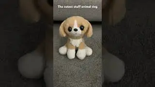 Stuffed animal #shorts #dog #stuffed #animals #cute