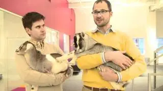 The Fabulous Beekman Boys Bring their Kids to JWT