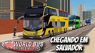 WORLD BUS: INDO PRA SALVADOR // VIAGEM COMPLETA 