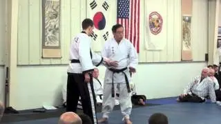 Master He-young Kimm (10th dan) -  39th Hapkido & KMA clinics USKMAF 2013