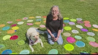 Local dog helps community one lost frisbee golf disc at a time