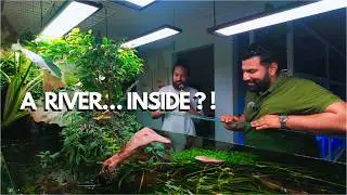 THE ULTIMATE FISH STORE #fish #fishtank #aquarium