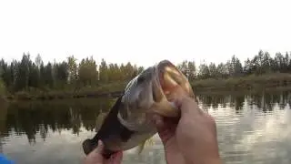 bigsal253 first bass video