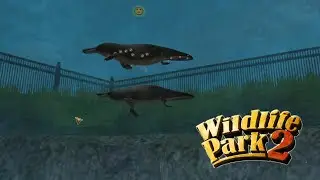 Platypus Wildlife Park 2 Crazy Zoo Gameplay HD