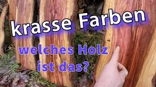 Blockbandsäge (Eigenbau) in Aktion