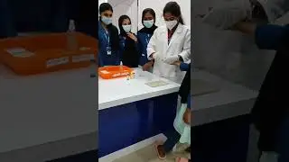 BLOOD GROUPING PRACTICALS BY DMLT STUDENTS