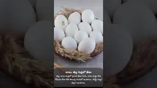 Boiler Eggs Vs Natu Eggs #eggs #protein