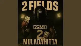 2 Fields