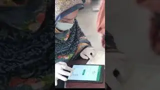Bsip program #8070 #duet #kafalatcard7000 #maryamnawaz #news