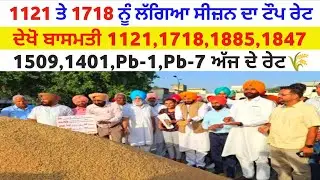 1121 ਤੇ 1718 ਨੂੰ ਲੱਗਿਆ ਸੀਜਨ ਦਾ ਟੋਪ ਰੇਟ basmati rate 1121 1718 1885 1847 1401 Pb-1 Pb-7 mandi bhav