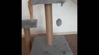 Когтеточка D012