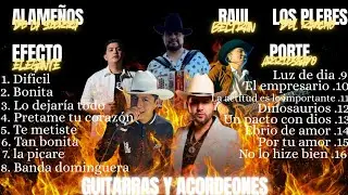 MIX ACORDEONES Y GUITARRAS ( ALAME&Ntilde;OS, RA&Uacute;L BELTR&Aacute;N, PORTE ARRIESGADO, LOS PLEBES DEL RANCHO...