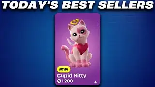 I refuse to buy this cat.