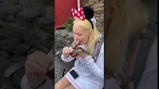 Europa Park Saisonstart 2025