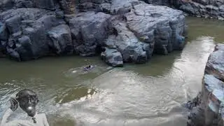Cheploch divers 1