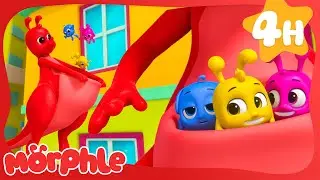 Boomer Morphle Finds Colorful Babies 🦖 Morphle Dinosaurs 🦕 Cartoons for Kids | Cartoon Compilation