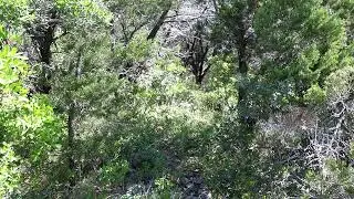 Homes for sale - Lot 341 County Road 2744, Mico, TX 78056
