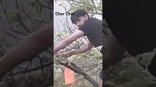 Ye chor Machye shor🥱✨#shorts #subscribe #viral