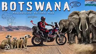 Scary Ride காட்டு பாதையில் African Elephants | World Ride | Africa Day 16 | @Cherry Vlogs