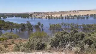 The River Murray in Flood, Walker Flat, South Australia. Danny Tschopenko, 2023.
