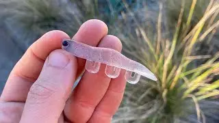Urban Fishing in Sydney Lockdown | Cops arrive.