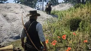 Hunting the Legendary Boar &ndash; The Veteran IV Mission | RDR2