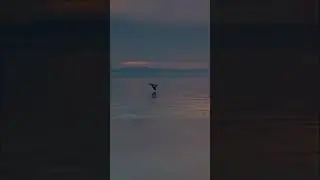saggezza per l'anima