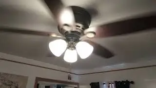 Tree Trim, Power Wash, Fan Install(4)