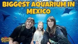 This Aquarium Is HUGE | Acuario Michin CDMX