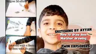 How to draw ibex | Markhor drawing | Pakistan's national animal |Realistic animal sketching by Ayyan