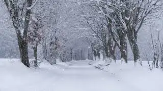 Relaxing Celtic Music #1