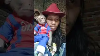 new baby monkey vidios 🐒😂🌟💖#shorts #monkey #monkeyfunny #funnyvidio #cutebaby #babymonkey #funny