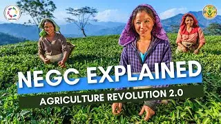 NEGC Explained | Farmer Income Double | NGO | SHG | FPO | Youth | SOCIAL