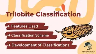 Trilobite Classification- features used, classification scheme, and development of classifications