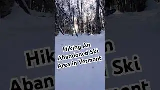 Pow surfing the Burton throwback at  abandoned ski area in Vermont with my dog #powsurf #burton #fyp