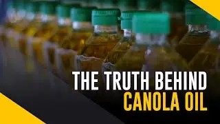 Canola Oil is Not Good For You