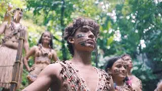 VISIÓN - SHAMAN