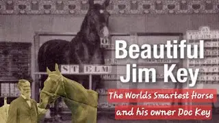 The Graves of Beautiful Jim Key the World's Smartest Horse and his Owner/Trainer Doc Key