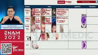Res&uacute;menes Integrales - Infectologia Part 2