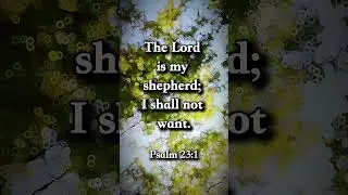 Psalm 23:1 Daily Bible Verse | Daystar Reflections