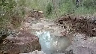 * STICKLAND SMASHED * Yowie Search Springbrook || The people u meet