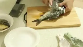 Fish Skin Brush Scraping Fishing Scale Brush Graters