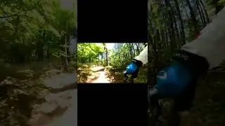 Greenhorn trail #shortsyoutube #insta360 #mountainbike #emtb #mtb #specializedbikes #mtb #gopro