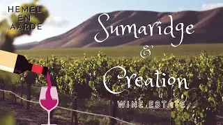 #8. Hermanus | Sumaridge & Creation Wine Tasting | South Africa