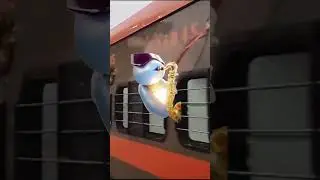 Amrit Bharat express ft. Squirtle saxophone 🎷 #indianrailways #music