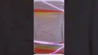 Satisfying Liquid Motion Bubbler Timer