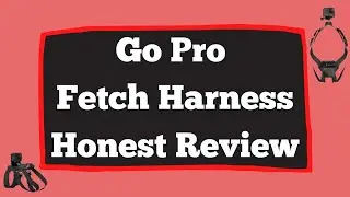 GoPro Fetch Harness Review And Test