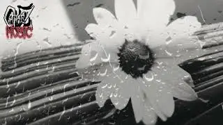 One Last Tear / Saphiell
